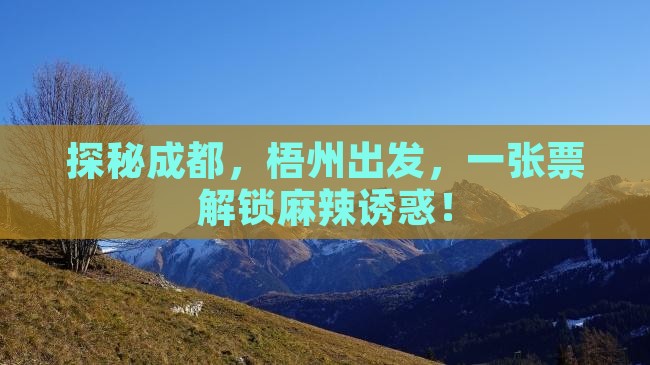 梧州到四川成都门票