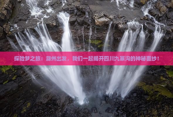 滁州到四川九寨沟旅行社