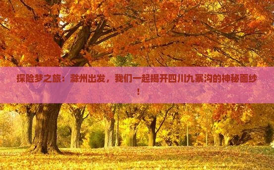滁州到四川九寨沟旅行社