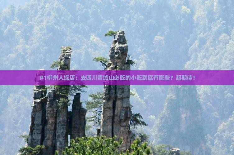 柳州去四川青城山旅游小吃