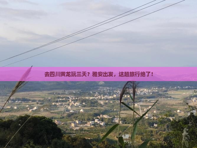雅安去四川黄龙三日游