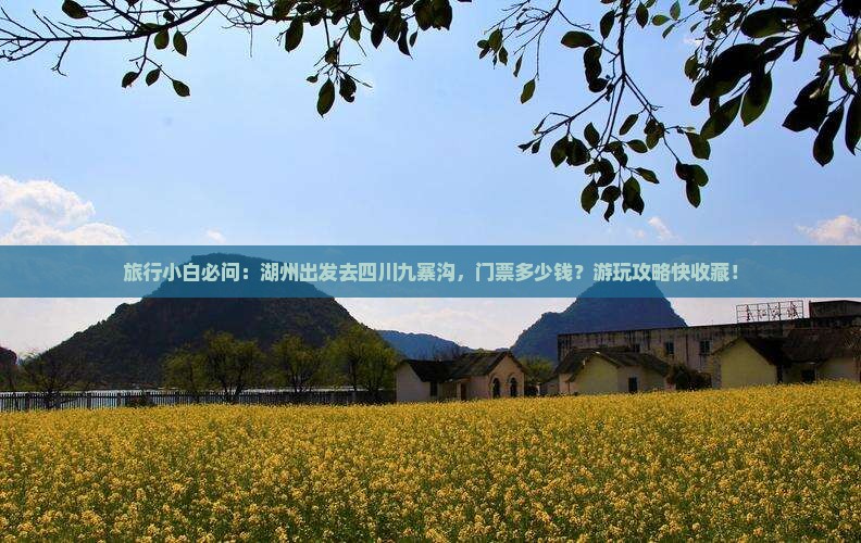 湖州到四川九寨沟门票