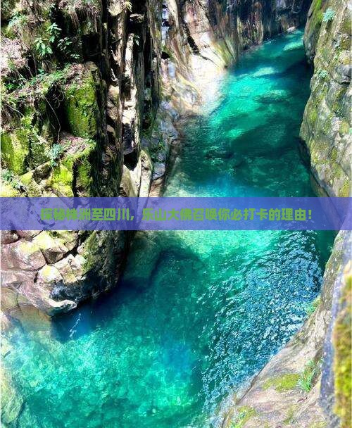株洲到四川乐山大佛必去地