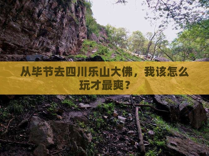毕节到四川乐山大佛自由行