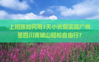 广州到四川青城山自由行