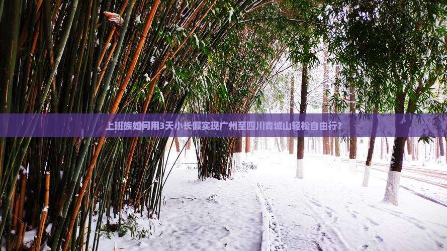广州到四川青城山自由行