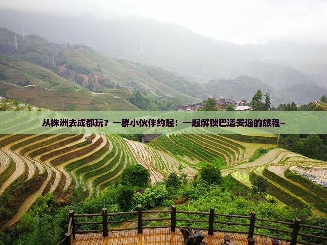 株洲到四川成都团体旅游