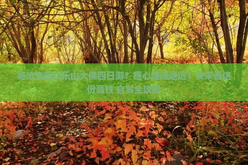 临沧去四川乐山大佛四日游