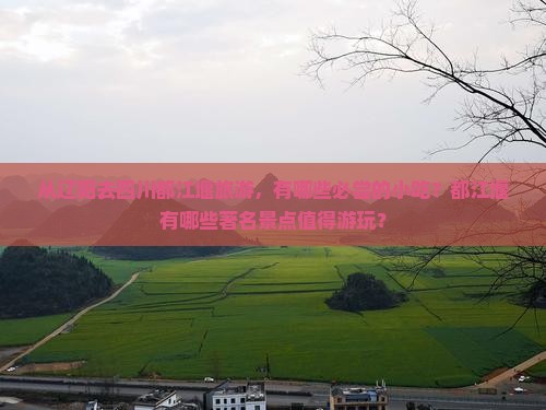 辽阳去四川都江堰旅游小吃 辽阳去四川都江堰旅游小吃