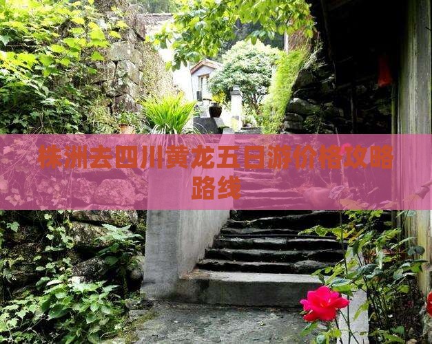 株洲去四川黄龙五日游