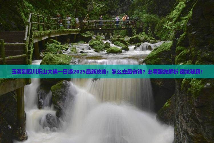 玉溪到四川乐山大佛一日 玉溪到四川乐山大佛一日