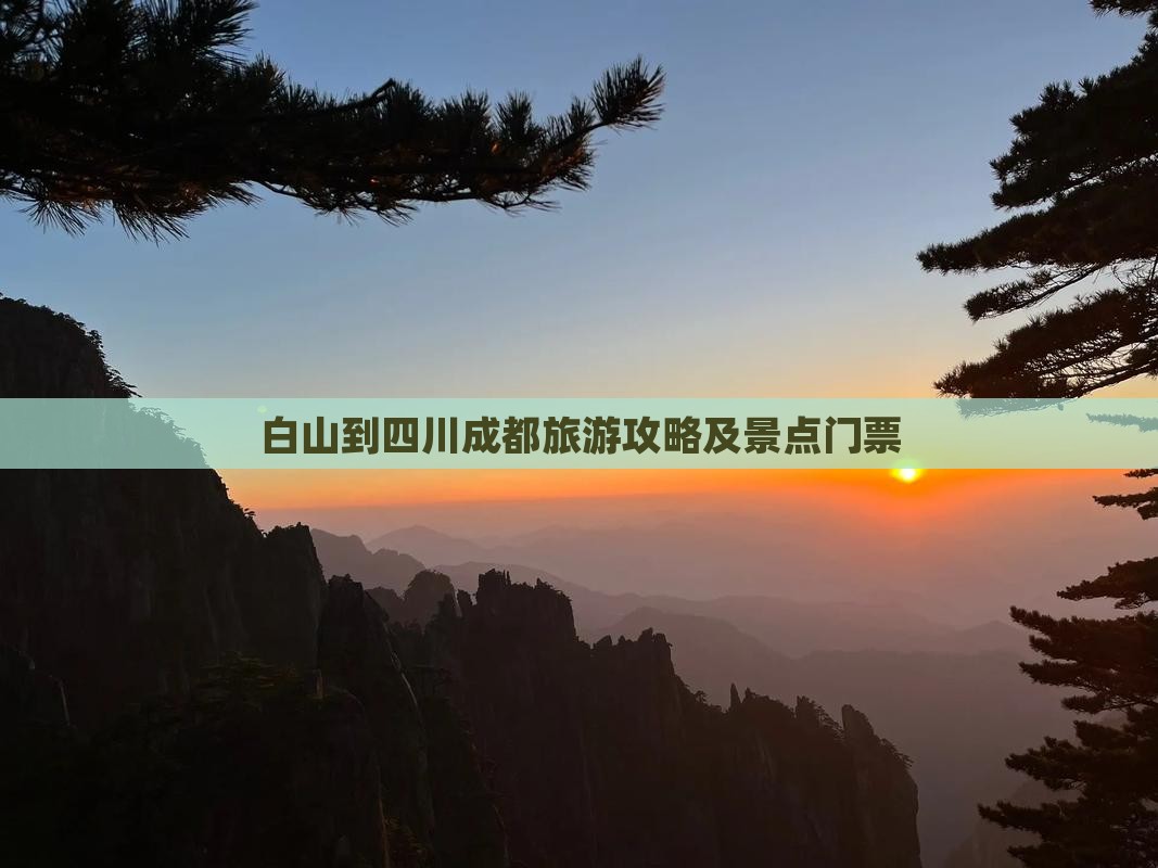 白山到四川成都门票