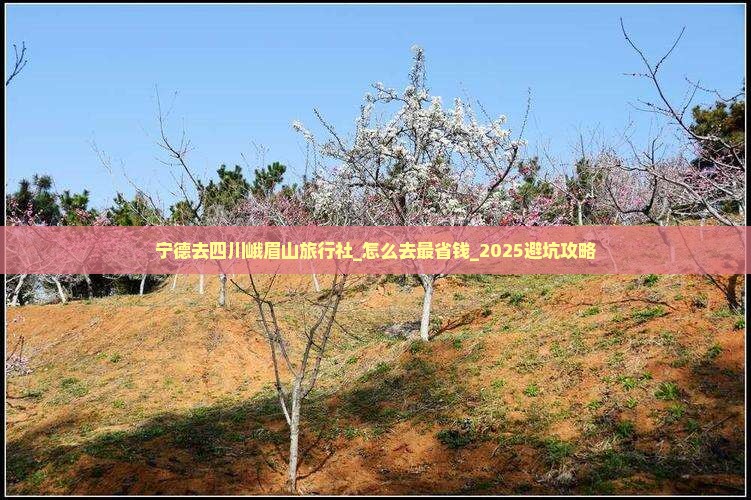 宁德去四川峨眉山旅行社