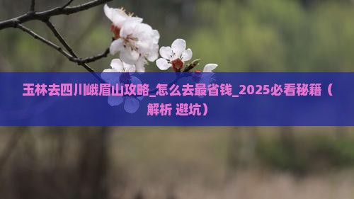 玉林去四川峨眉山攻略 玉林去四川峨眉山攻略