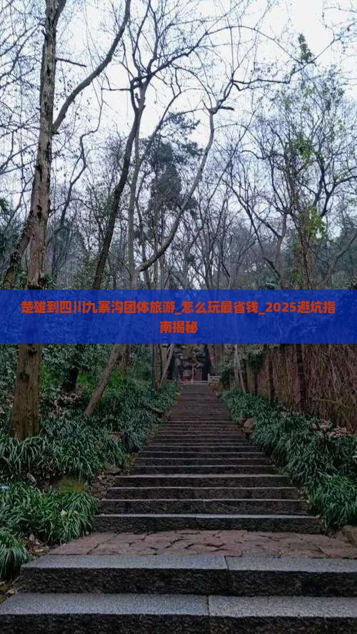 楚雄到四川九寨沟团体旅游 楚雄到四川九寨沟团体旅游