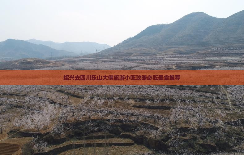 绍兴去四川乐山大佛旅游小吃