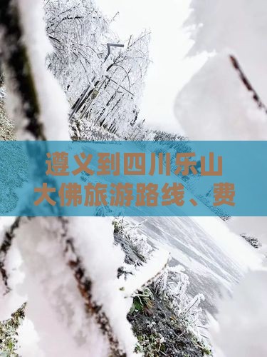 遵义到四川乐山大佛旅游