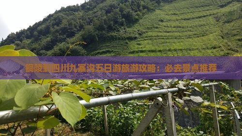 铜陵到四川九寨沟五日游