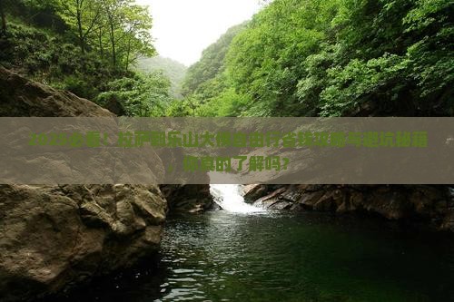 拉萨到四川乐山大佛自由团