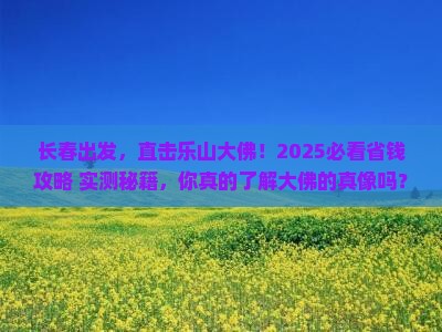 长春到四川乐山大佛团体旅游