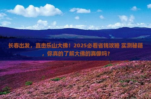 长春到四川乐山大佛团体旅游