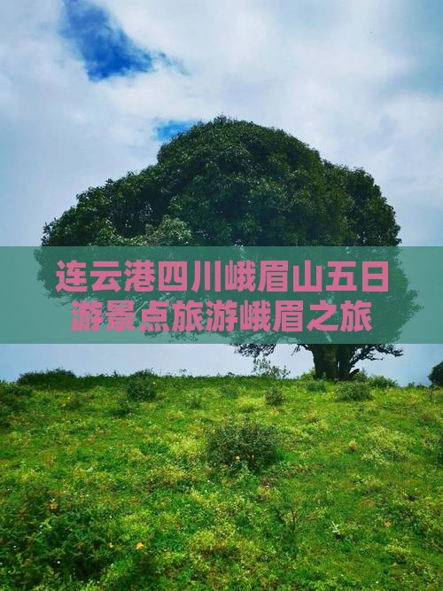 连云港到四川峨眉山五日游