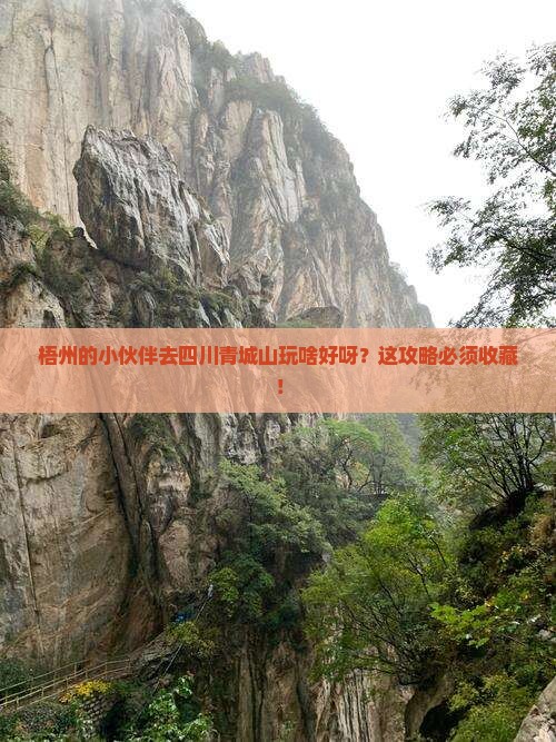 梧州到四川青城山哪里玩
