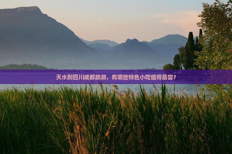 天水到四川成都旅游小吃
