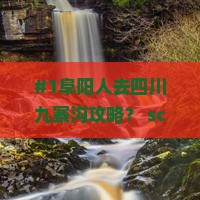 阜阳到四川九寨沟景点 阜阳到四川九寨沟景点