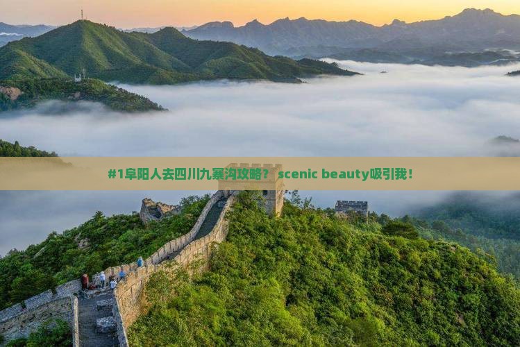阜阳到四川九寨沟景点 阜阳到四川九寨沟景点