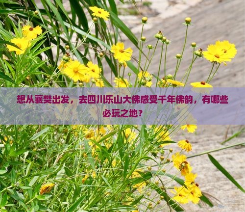 襄樊到四川乐山大佛哪里玩
