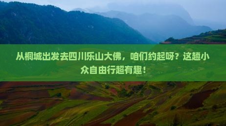 桐城到四川乐山大佛自由团