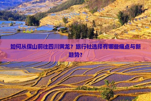 保山到四川黄龙旅行社