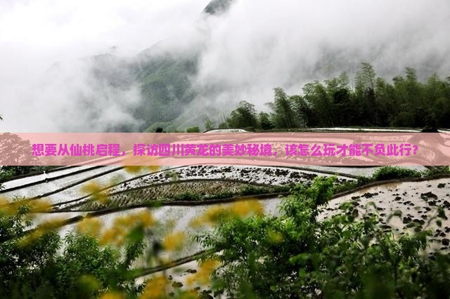 仙桃到四川黄龙哪里玩