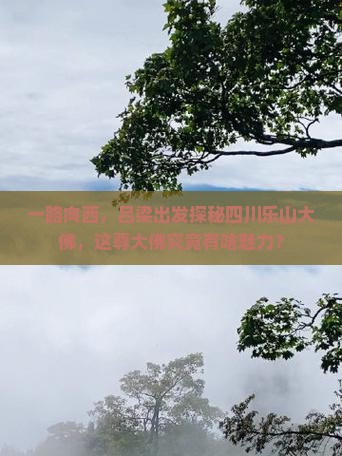 吕梁到四川乐山大佛自由行