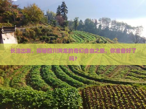 长治到四川黄龙自由团