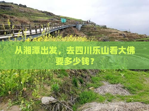 湘潭到四川乐山大佛门票