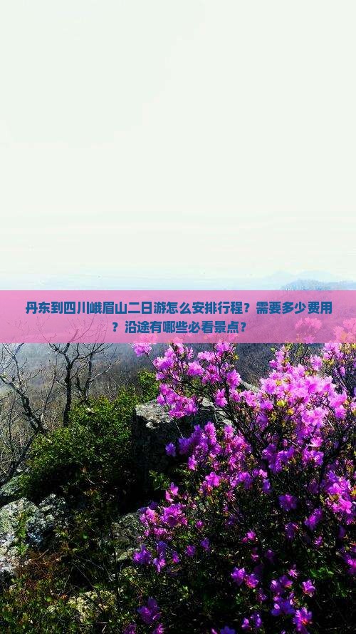 丹东到四川峨眉山二日游