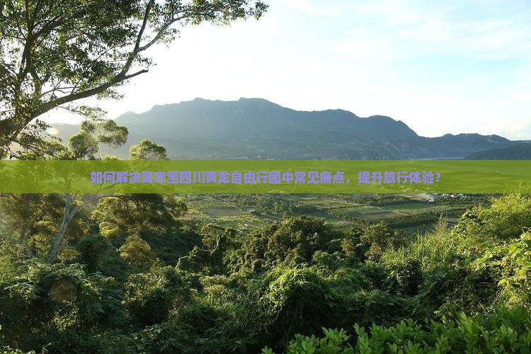 吴忠去四川黄龙自由团