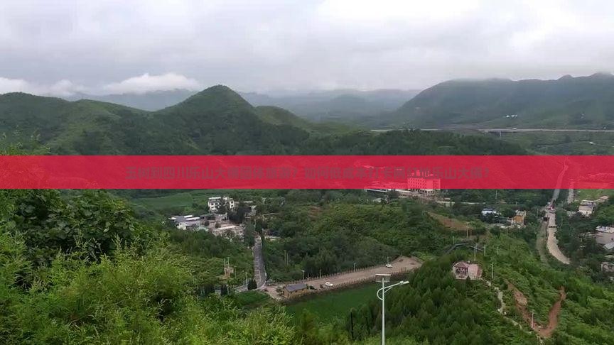 玉树到四川乐山大佛团体旅游