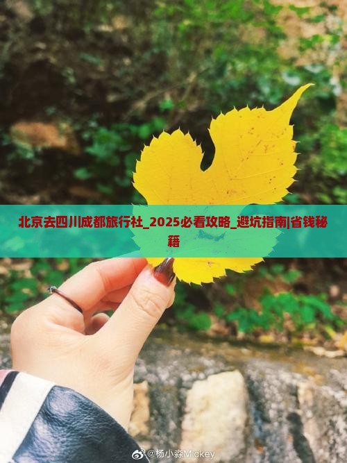 北京去四川成都旅行社