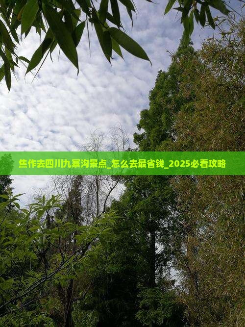 焦作去四川九寨沟景点
