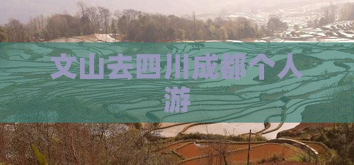 文山去四川成都个人游