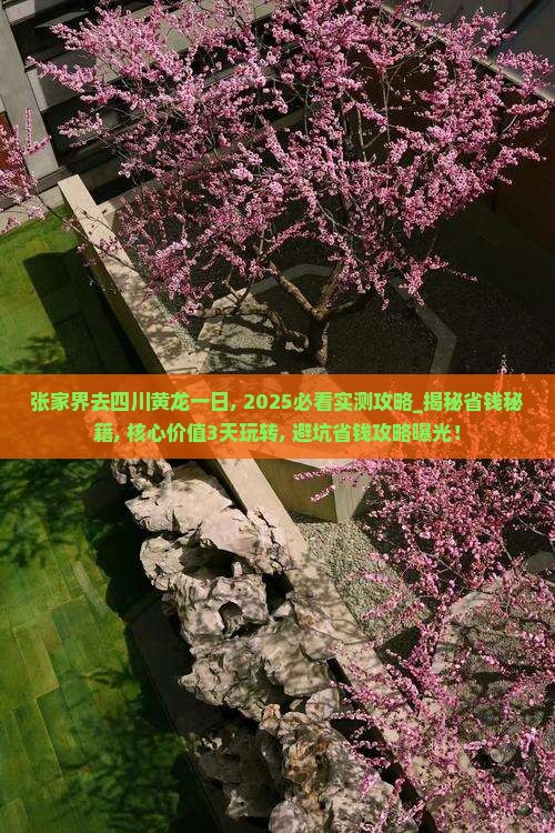 张家界去四川黄龙一日