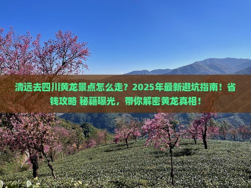 清远去四川黄龙景点