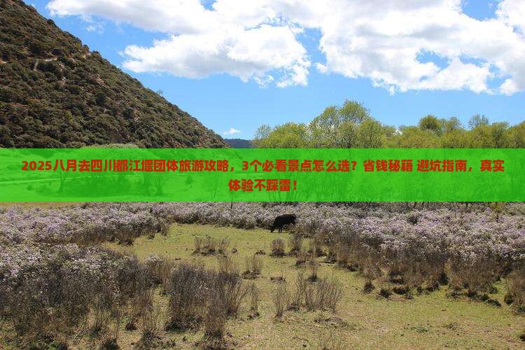 八月去四川都江堰团体旅游