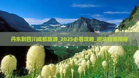 丹东到四川成都旅游