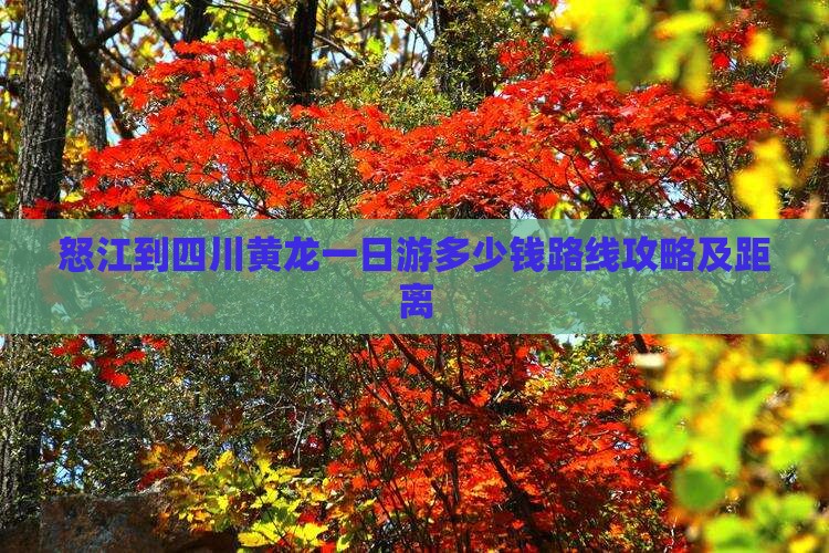 怒江到四川黄龙一日