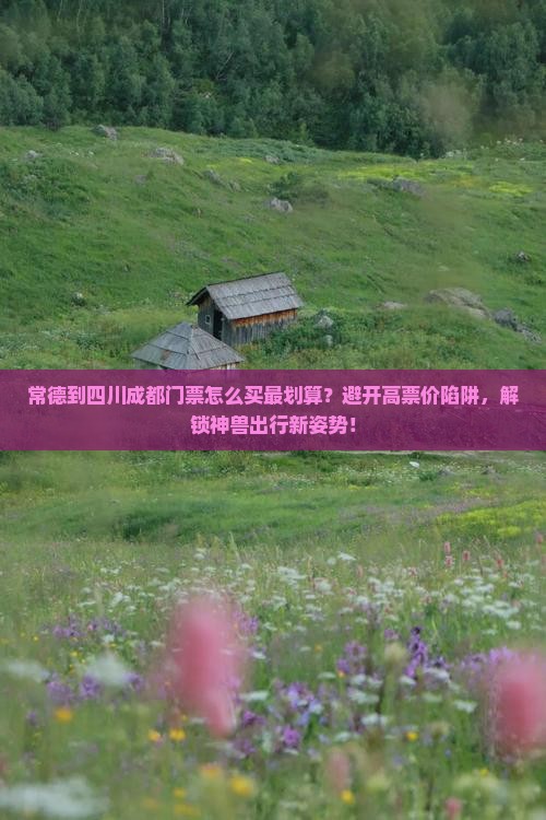 常德到四川成都门票