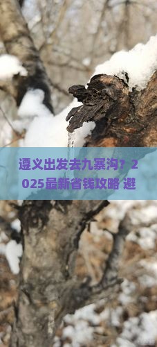 遵义到四川九寨沟门票